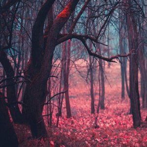 Forest Scenery Tapestry Romantic Mood Blue Pink Red Trees Landscape Big Wall Art
